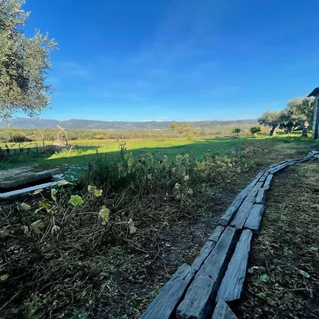 Samorinha House בית נופש Assares