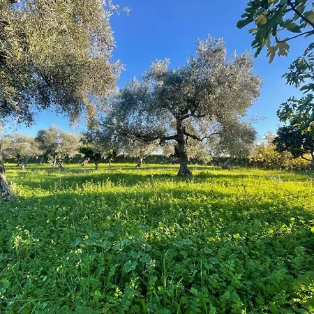 בית נופש Samorinha House *