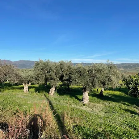 Prázdninový dům Samorinha House Assares