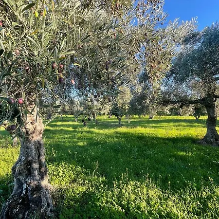 Samorinha House Prázdninový dům Assares