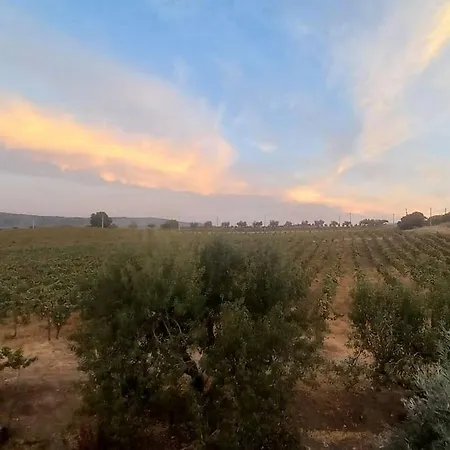 Samorinha House Casa de Férias *