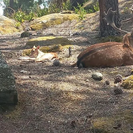 Samorinha House Prázdninový dům *