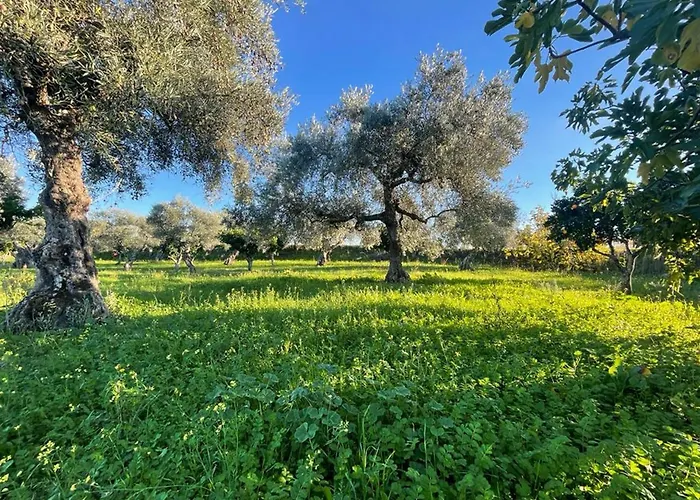 Vakantiehuis Samorinha House *