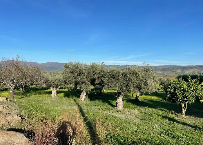 Vakantiehuis Samorinha House Assares