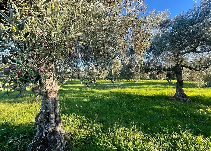 Samorinha House Vakantiehuis Assares