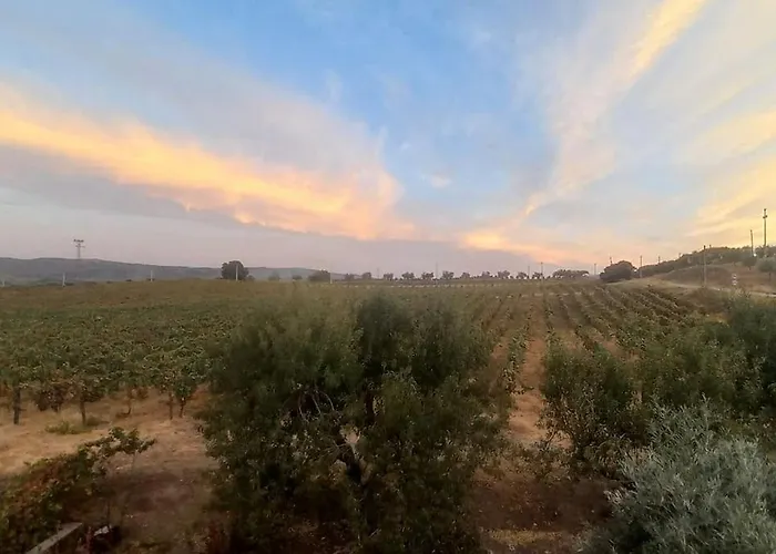 Samorinha House Vakantiehuis *