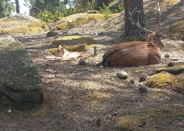 Samorinha House Vakantiehuis *